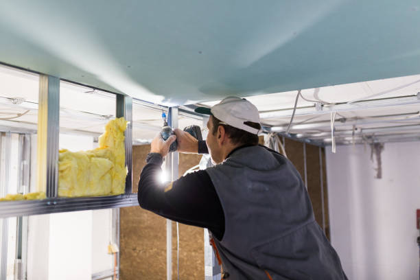 Best Crawl Space Insulation  in Tampa, FL